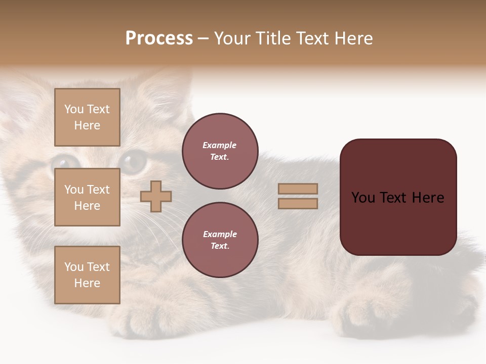 A Small Kitten Laying Down On A White Surface PowerPoint Template