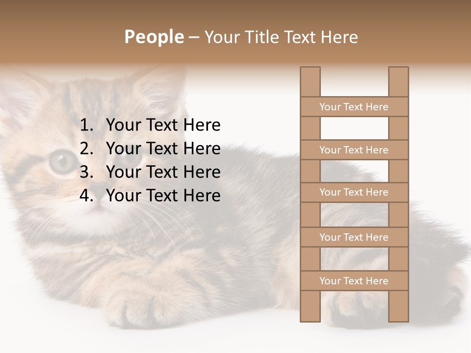 A Small Kitten Laying Down On A White Surface PowerPoint Template
