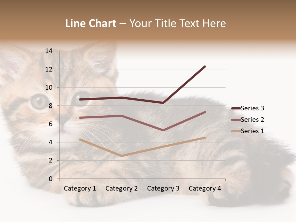 A Small Kitten Laying Down On A White Surface PowerPoint Template