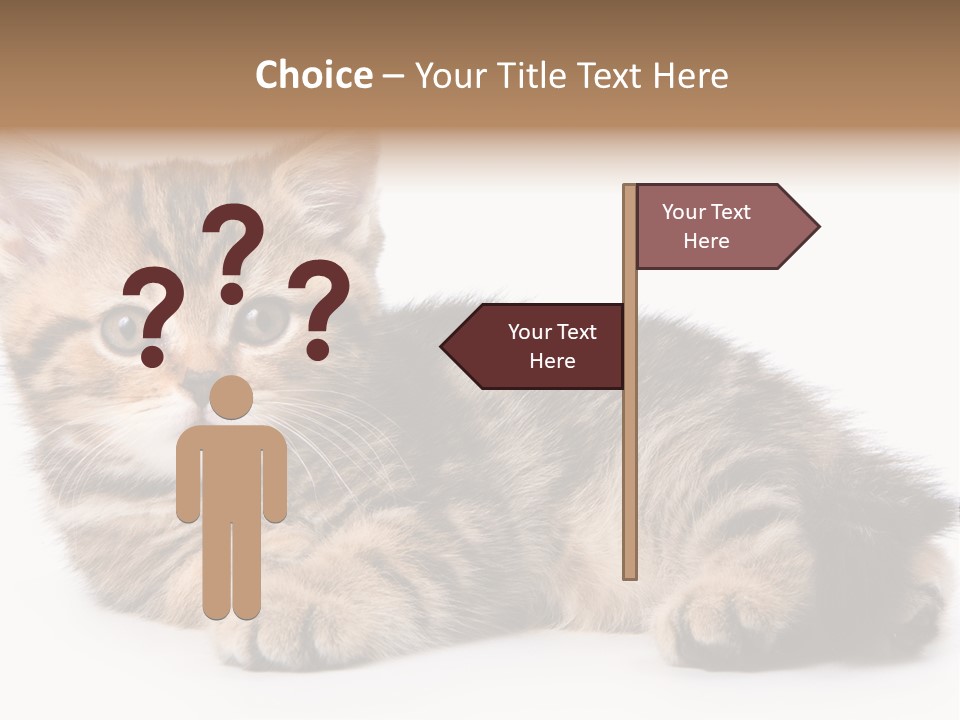 A Small Kitten Laying Down On A White Surface PowerPoint Template