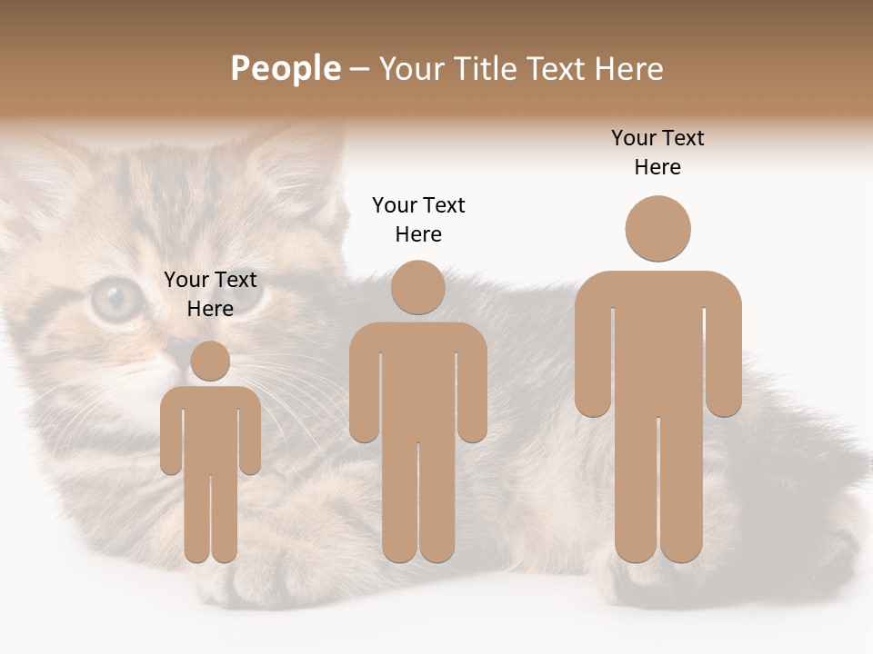 A Small Kitten Laying Down On A White Surface PowerPoint Template