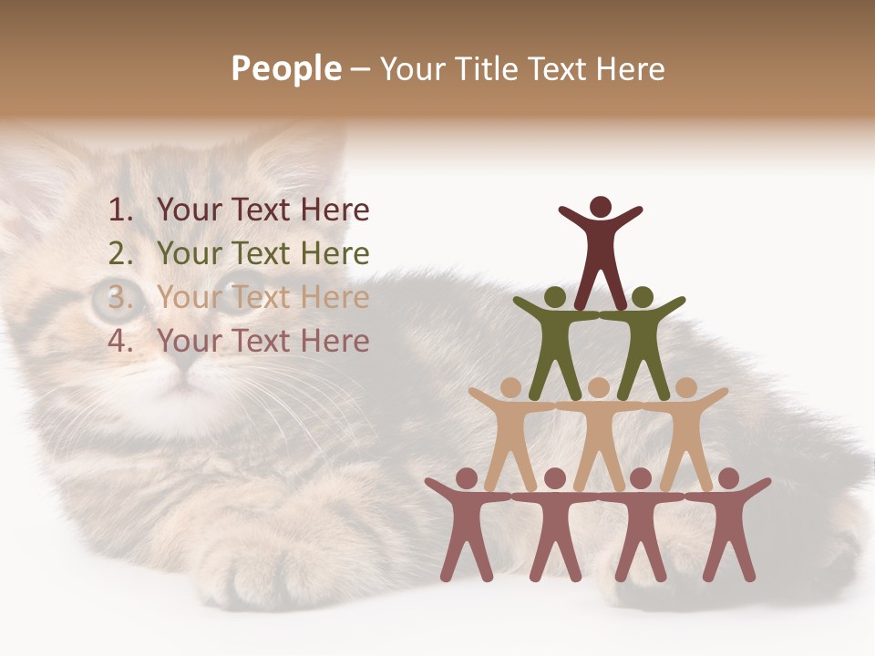 A Small Kitten Laying Down On A White Surface PowerPoint Template