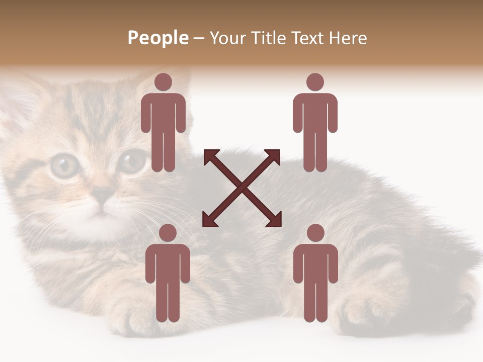 A Small Kitten Laying Down On A White Surface PowerPoint Template
