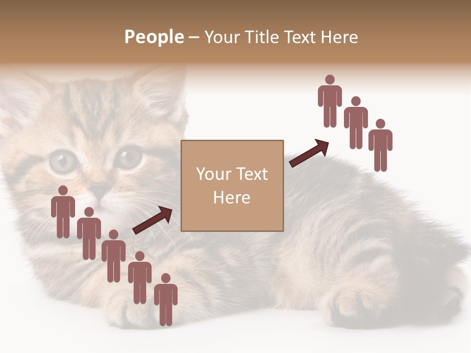 A Small Kitten Laying Down On A White Surface PowerPoint Template