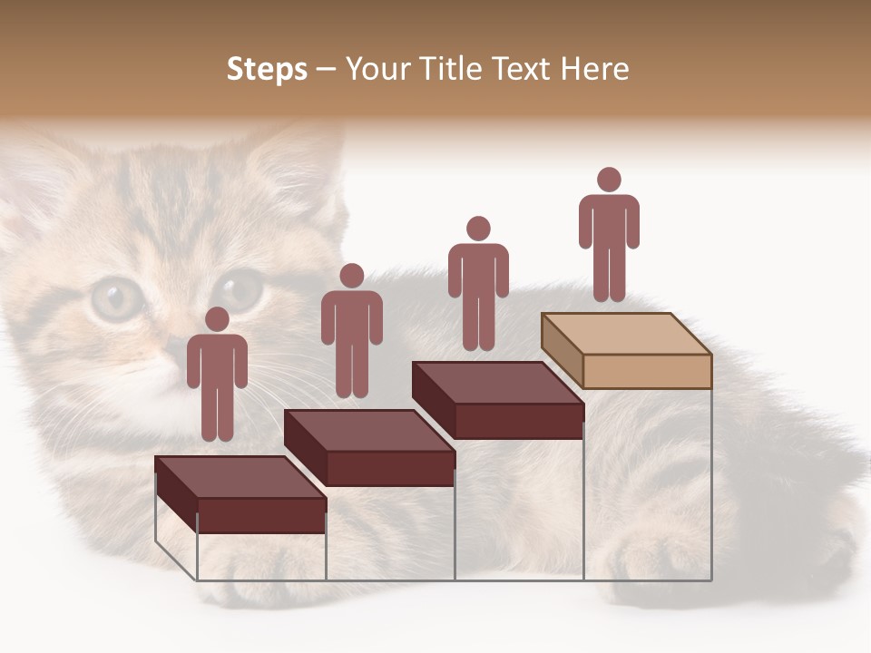 A Small Kitten Laying Down On A White Surface PowerPoint Template