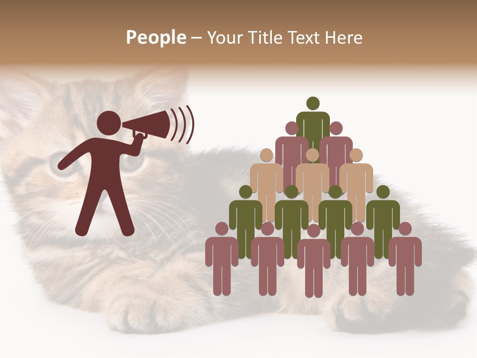 A Small Kitten Laying Down On A White Surface PowerPoint Template