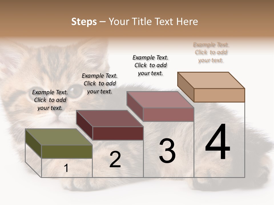 A Small Kitten Laying Down On A White Surface PowerPoint Template