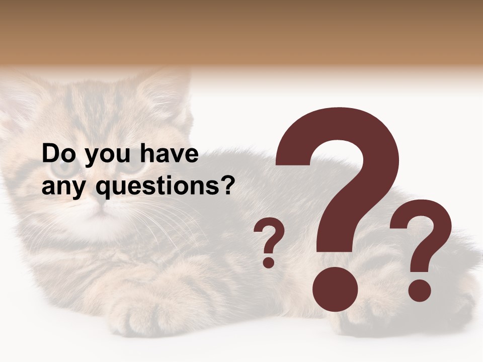 A Small Kitten Laying Down On A White Surface PowerPoint Template