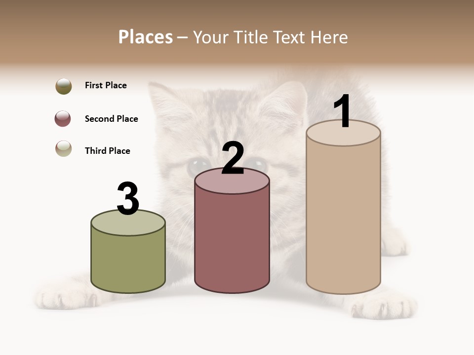 A Kitten Laying Down On The Ground With A White Background PowerPoint Template