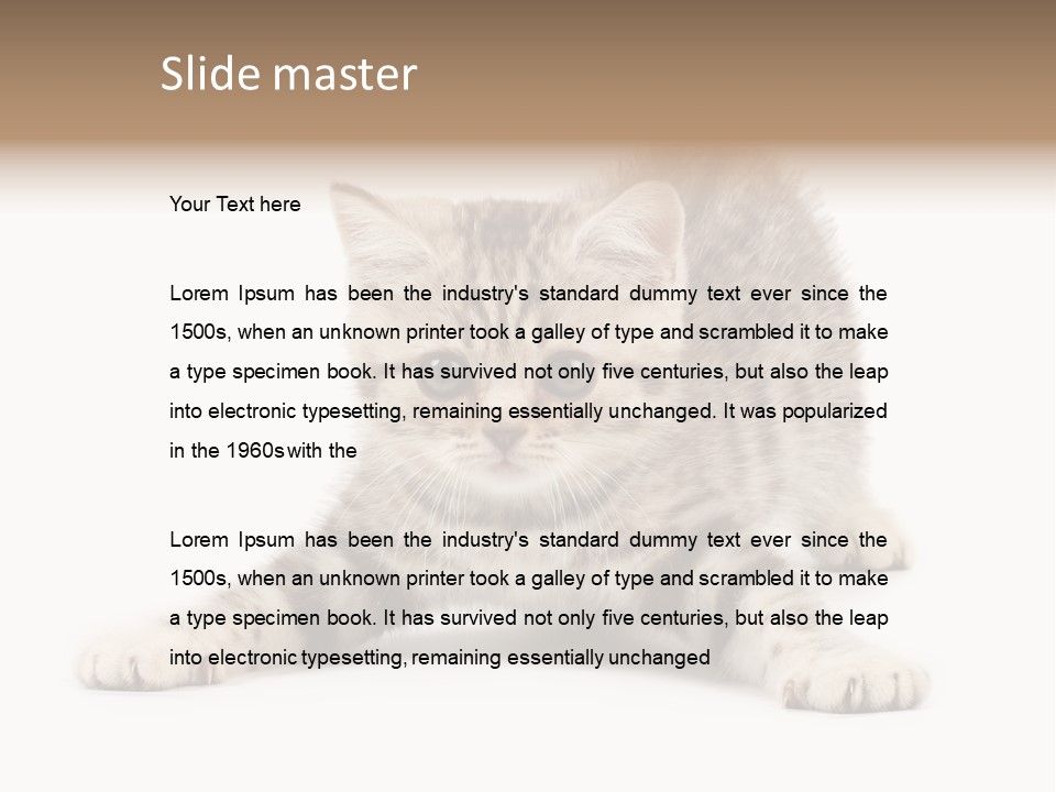 A Kitten Laying Down On The Ground With A White Background PowerPoint Template
