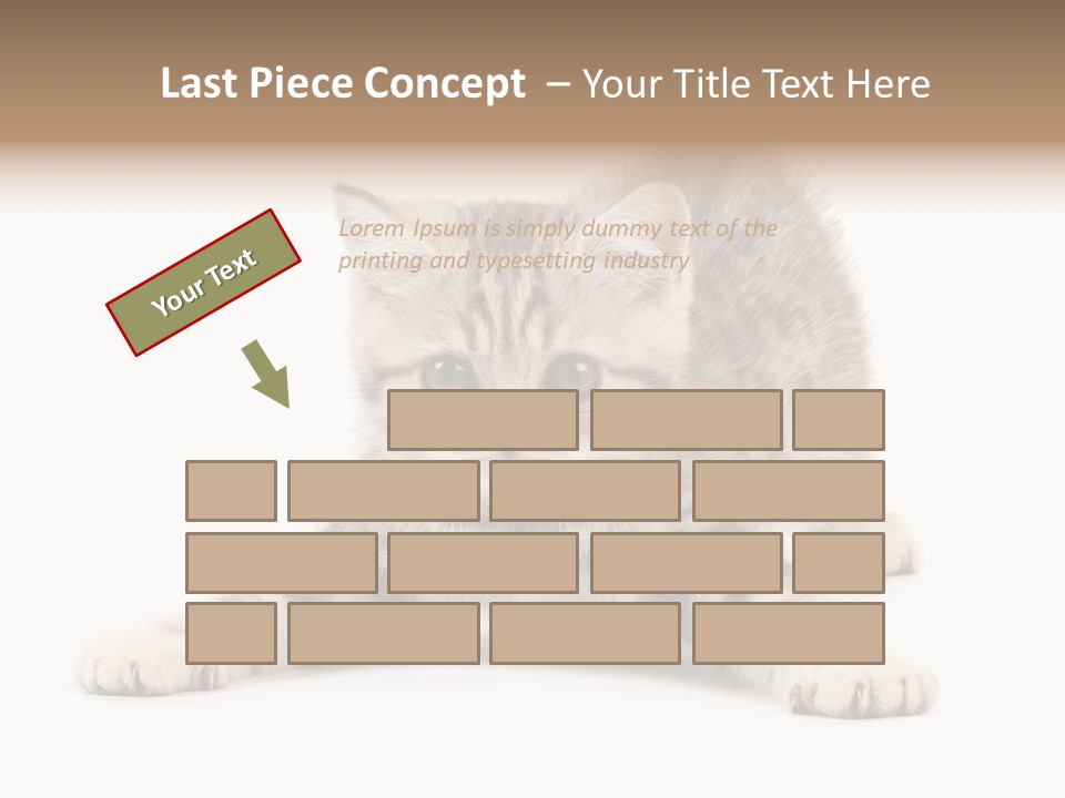 A Kitten Laying Down On The Ground With A White Background PowerPoint Template