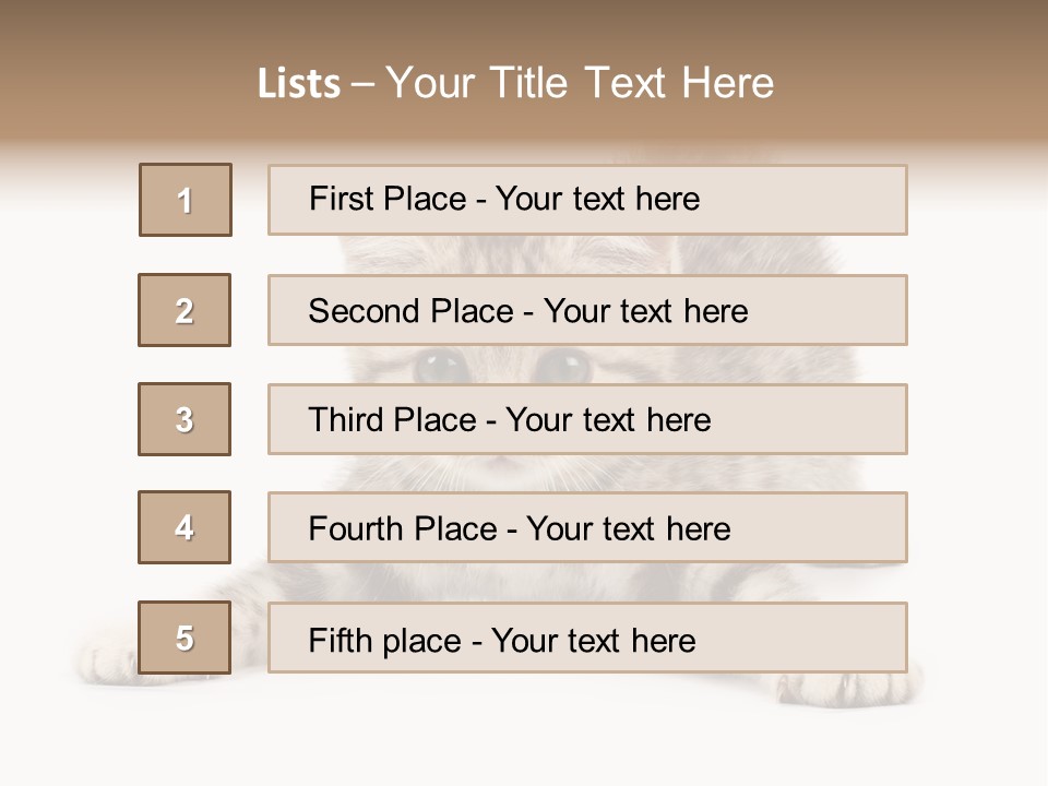 A Kitten Laying Down On The Ground With A White Background PowerPoint Template