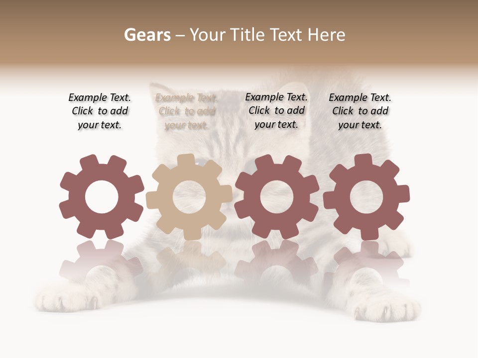 A Kitten Laying Down On The Ground With A White Background PowerPoint Template