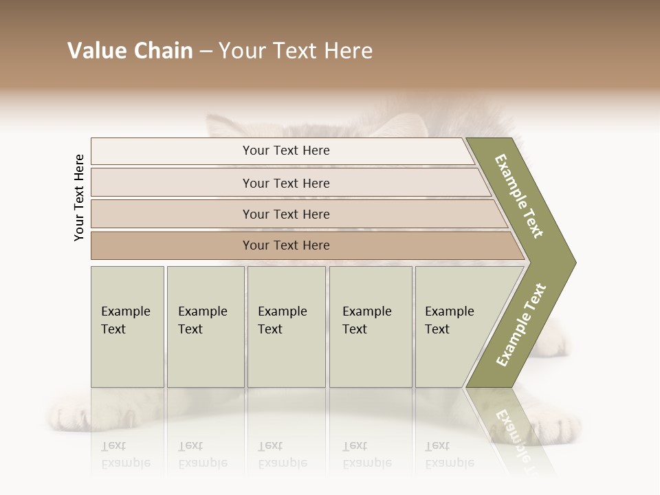 A Kitten Laying Down On The Ground With A White Background PowerPoint Template