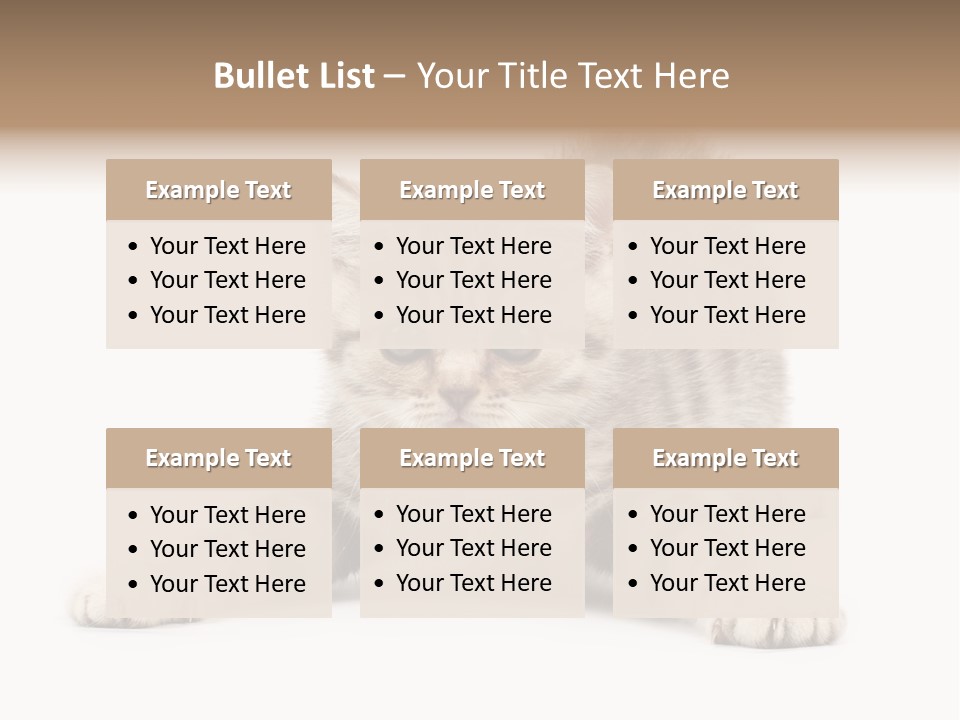 A Kitten Laying Down On The Ground With A White Background PowerPoint Template