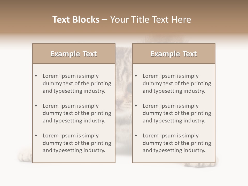 A Kitten Laying Down On The Ground With A White Background PowerPoint Template
