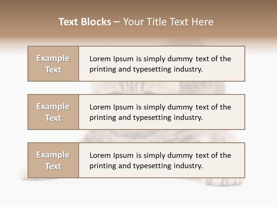 A Kitten Laying Down On The Ground With A White Background PowerPoint Template