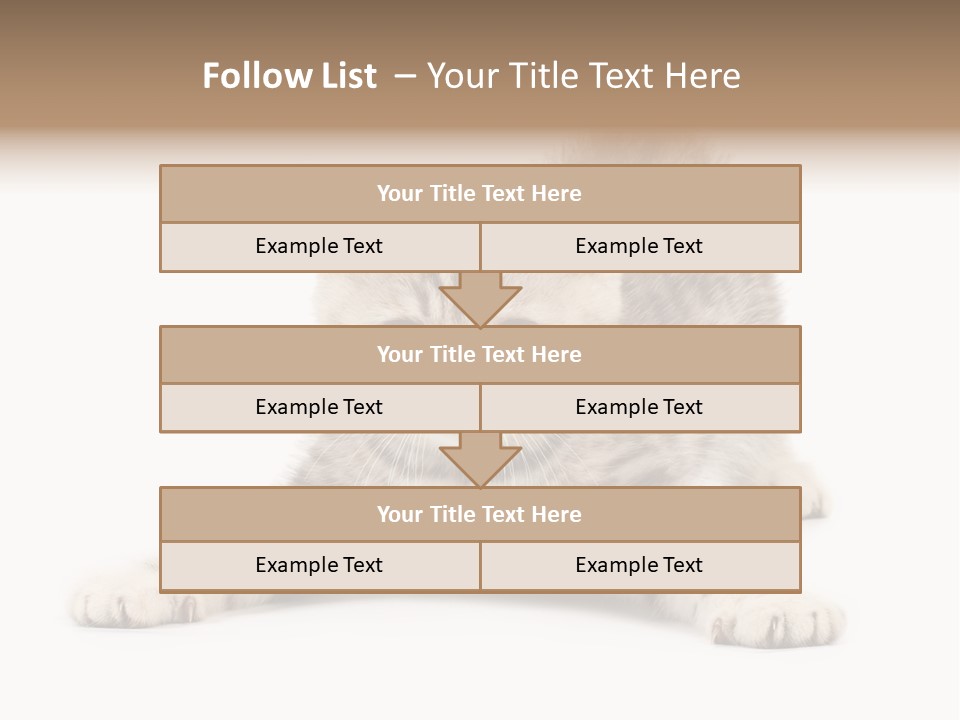 A Kitten Laying Down On The Ground With A White Background PowerPoint Template