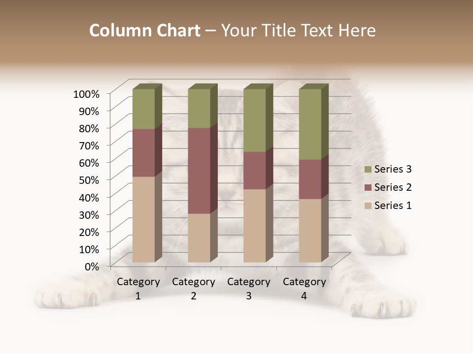A Kitten Laying Down On The Ground With A White Background PowerPoint Template