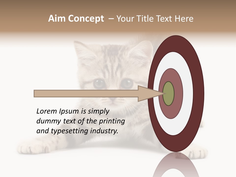 A Kitten Laying Down On The Ground With A White Background PowerPoint Template