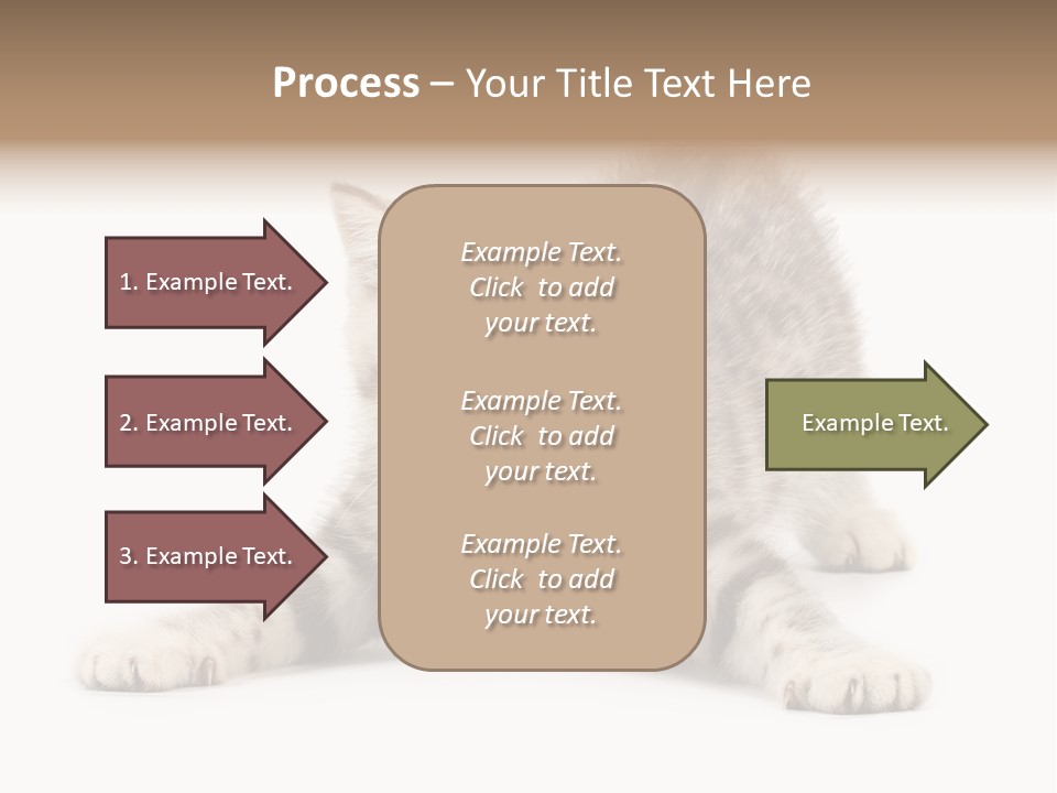 A Kitten Laying Down On The Ground With A White Background PowerPoint Template
