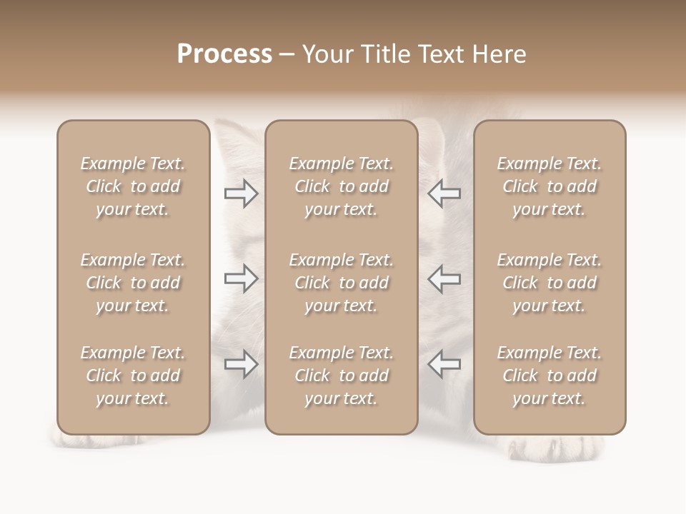 A Kitten Laying Down On The Ground With A White Background PowerPoint Template