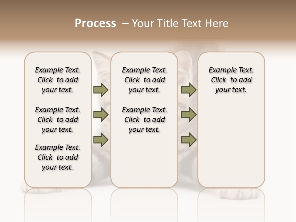 A Kitten Laying Down On The Ground With A White Background PowerPoint Template
