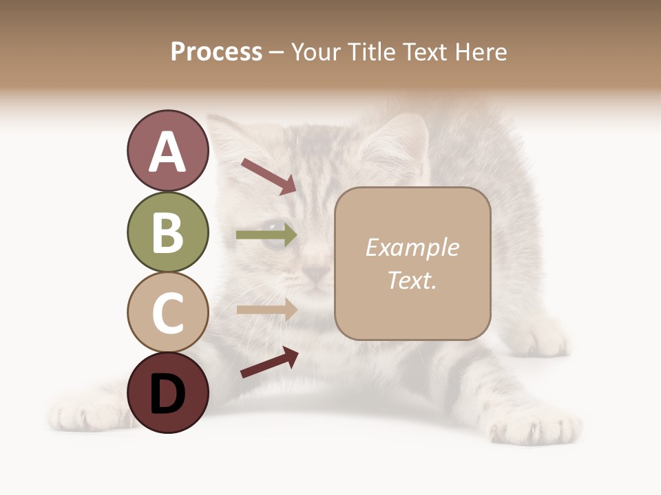 A Kitten Laying Down On The Ground With A White Background PowerPoint Template