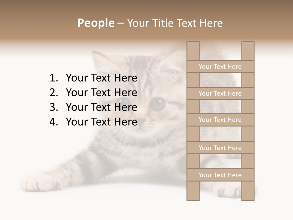 A Kitten Laying Down On The Ground With A White Background PowerPoint Template