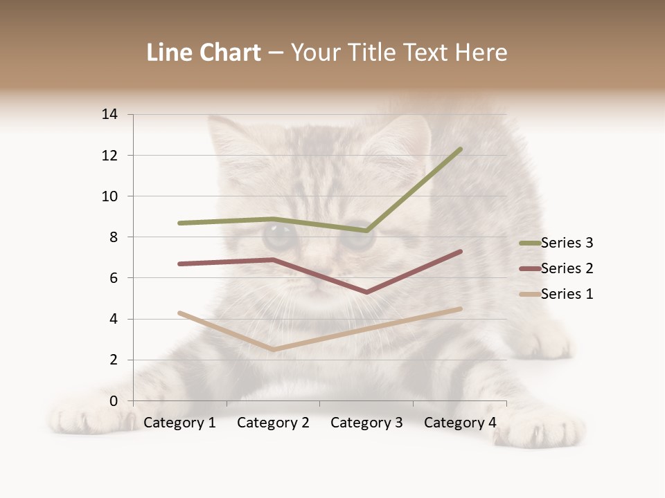 A Kitten Laying Down On The Ground With A White Background PowerPoint Template