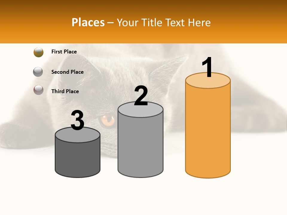 A Gray Cat Laying Down On A White Surface PowerPoint Template