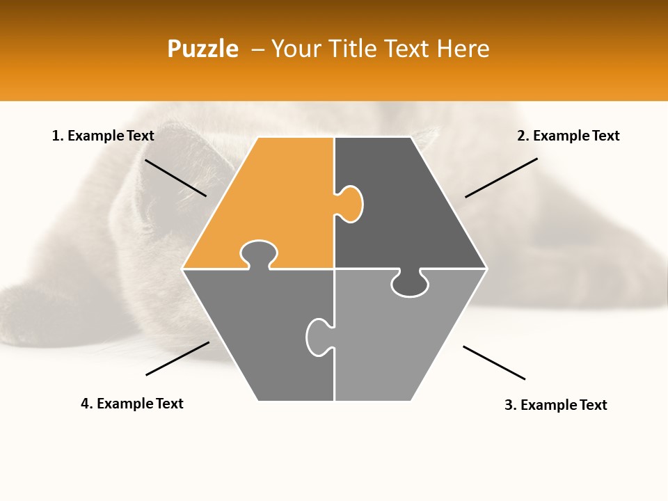 A Gray Cat Laying Down On A White Surface PowerPoint Template