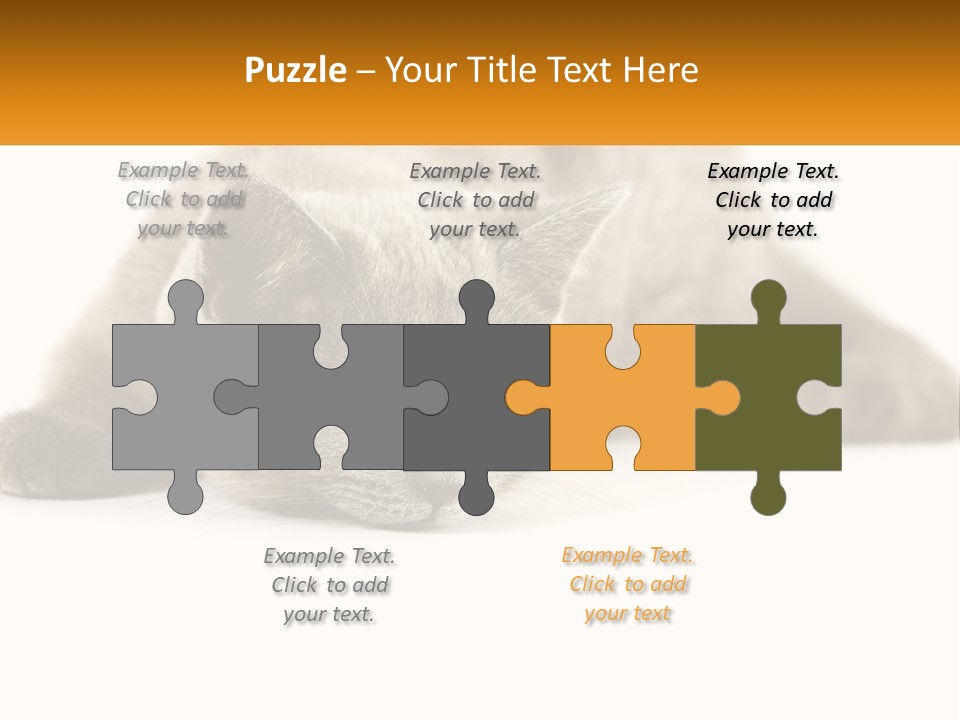 A Gray Cat Laying Down On A White Surface PowerPoint Template