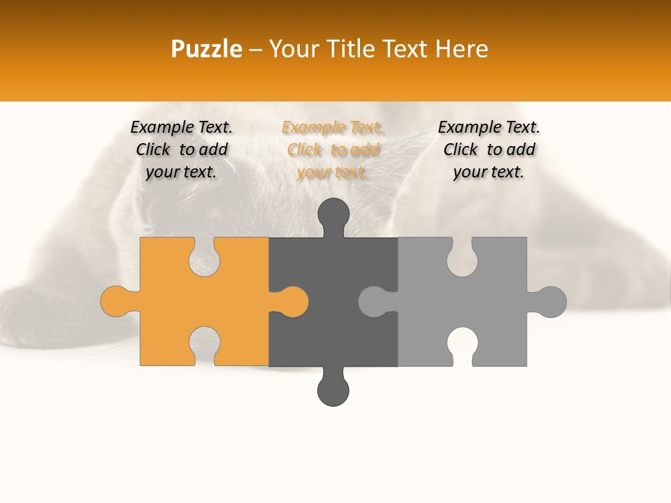 A Gray Cat Laying Down On A White Surface PowerPoint Template