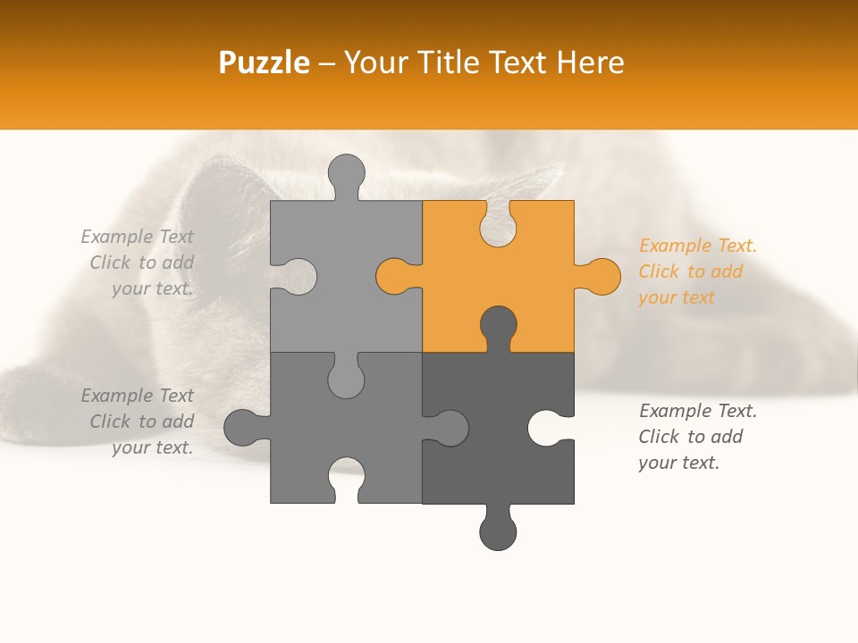 A Gray Cat Laying Down On A White Surface PowerPoint Template