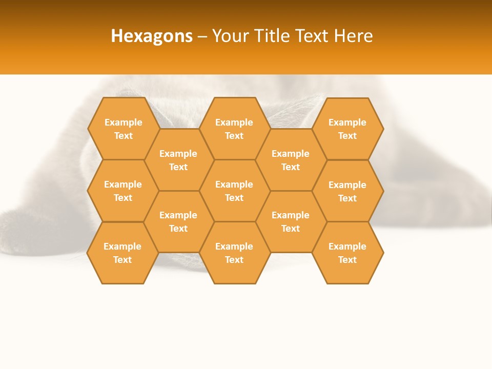 A Gray Cat Laying Down On A White Surface PowerPoint Template