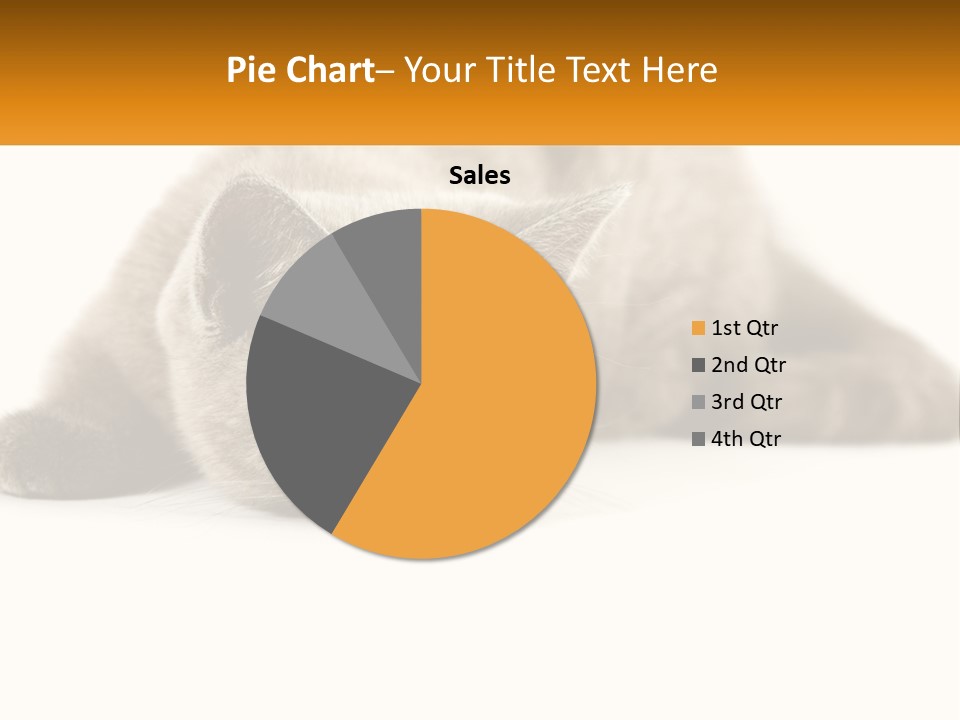 A Gray Cat Laying Down On A White Surface PowerPoint Template