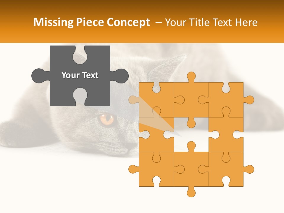 A Gray Cat Laying Down On A White Surface PowerPoint Template