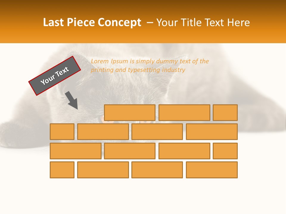 A Gray Cat Laying Down On A White Surface PowerPoint Template