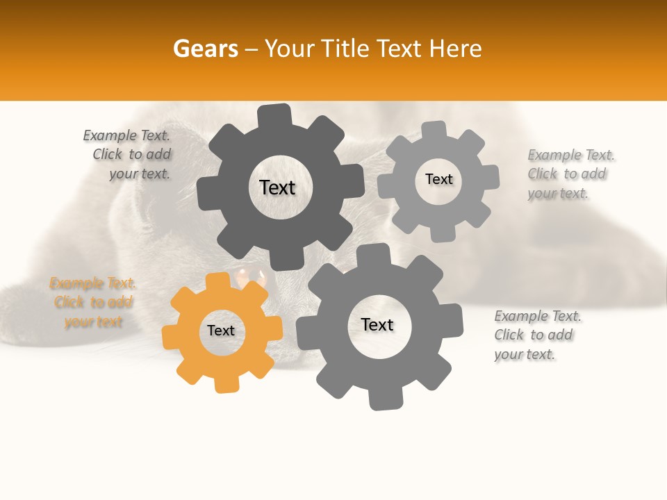 A Gray Cat Laying Down On A White Surface PowerPoint Template