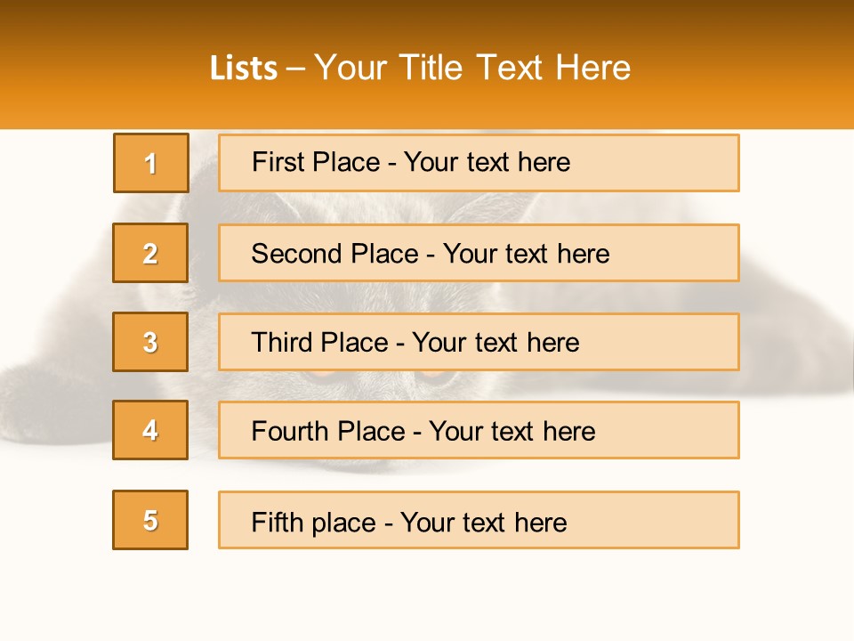A Gray Cat Laying Down On A White Surface PowerPoint Template