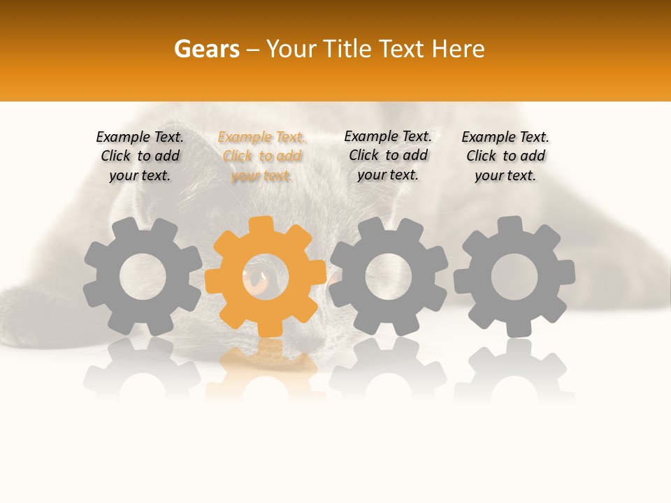 A Gray Cat Laying Down On A White Surface PowerPoint Template