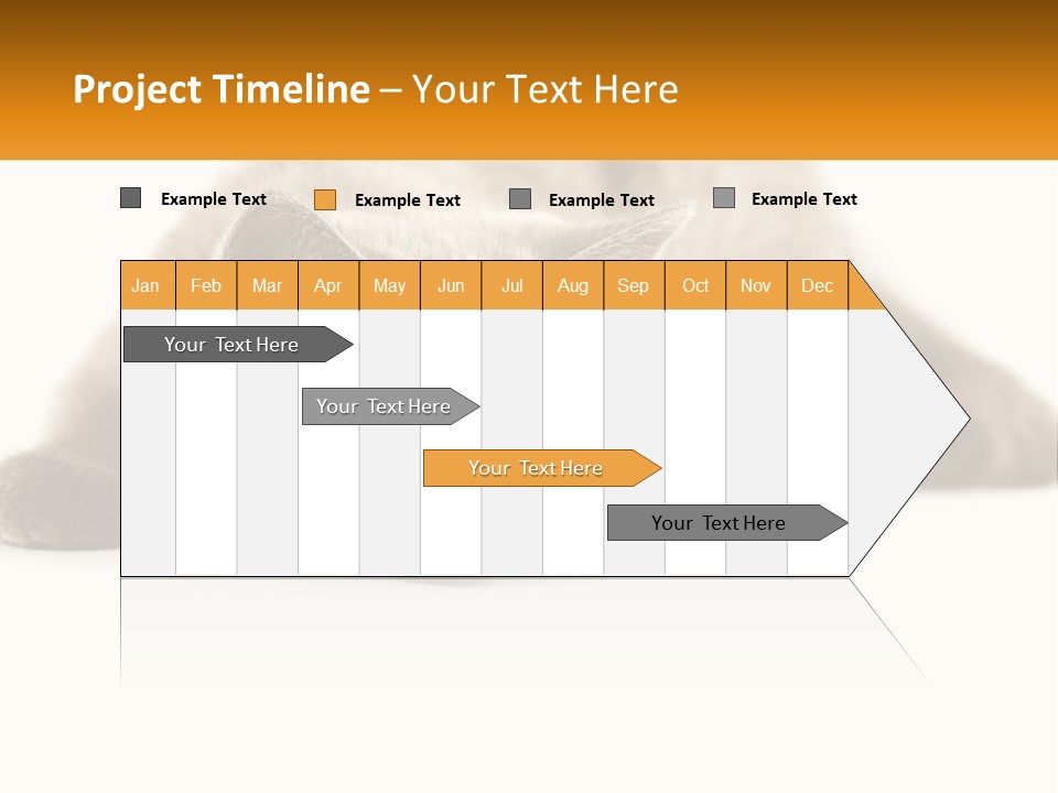 A Gray Cat Laying Down On A White Surface PowerPoint Template