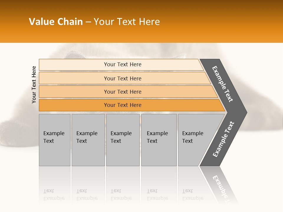A Gray Cat Laying Down On A White Surface PowerPoint Template