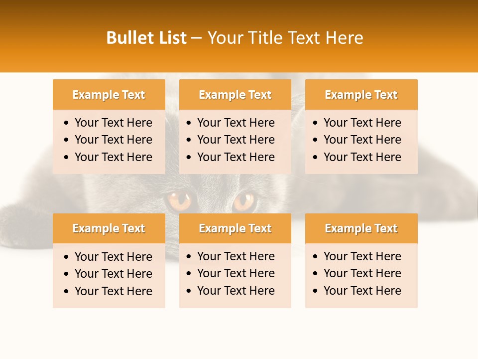 A Gray Cat Laying Down On A White Surface PowerPoint Template