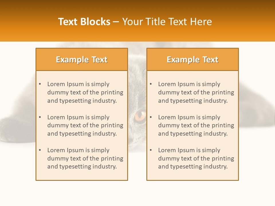 A Gray Cat Laying Down On A White Surface PowerPoint Template