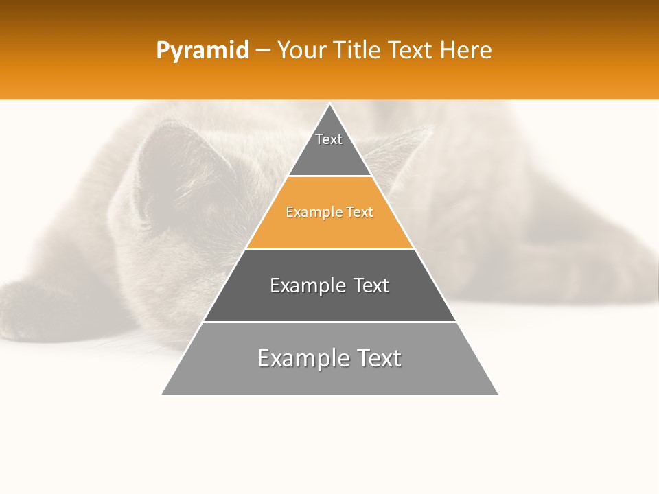 A Gray Cat Laying Down On A White Surface PowerPoint Template