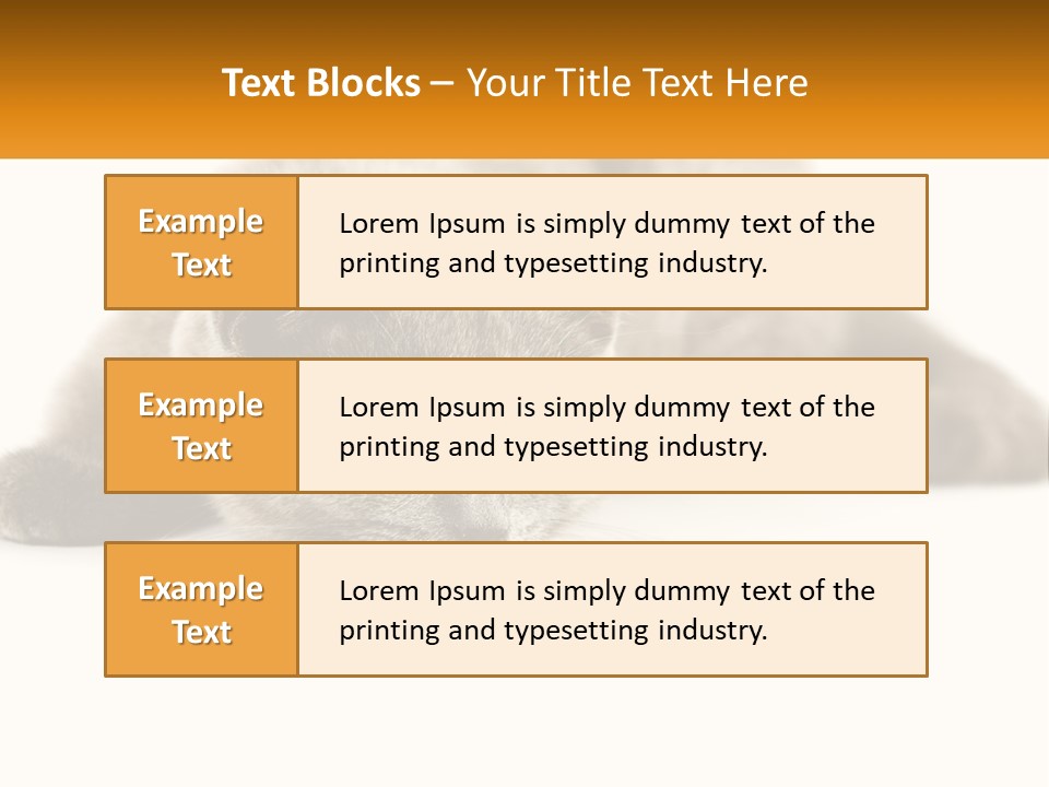 A Gray Cat Laying Down On A White Surface PowerPoint Template