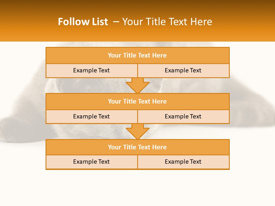 A Gray Cat Laying Down On A White Surface PowerPoint Template