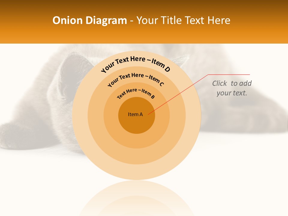 A Gray Cat Laying Down On A White Surface PowerPoint Template